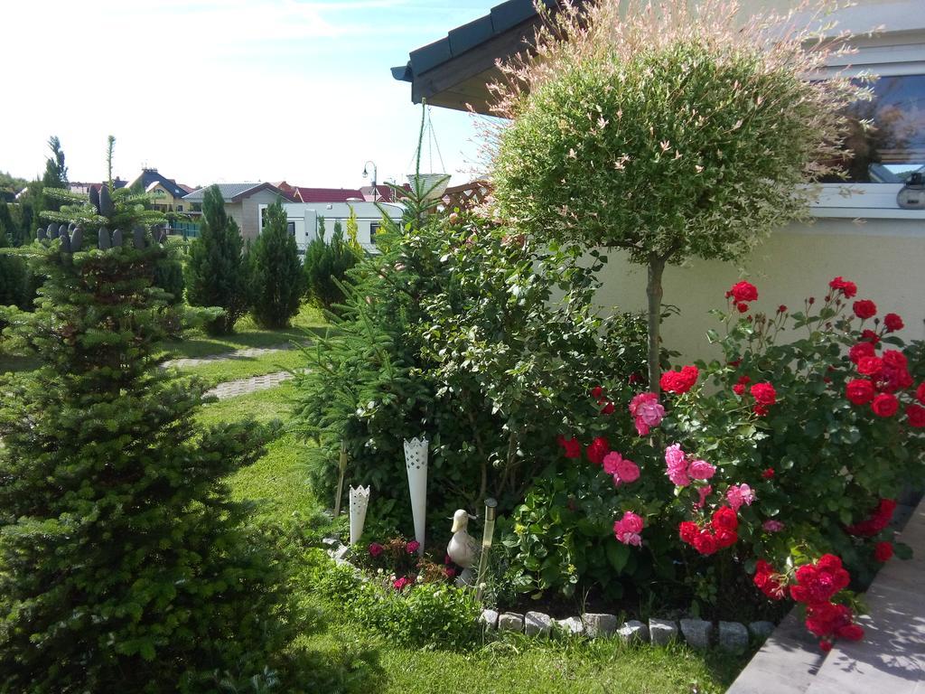 Domki Kapitanskie Z Prywatnym Polem Do Gry W Mini Golf 里沃 外观 照片